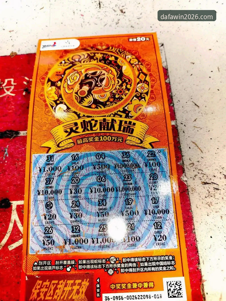 揭秘大发彩票优惠活动背后的真实机制：新手必知的5条避坑指南